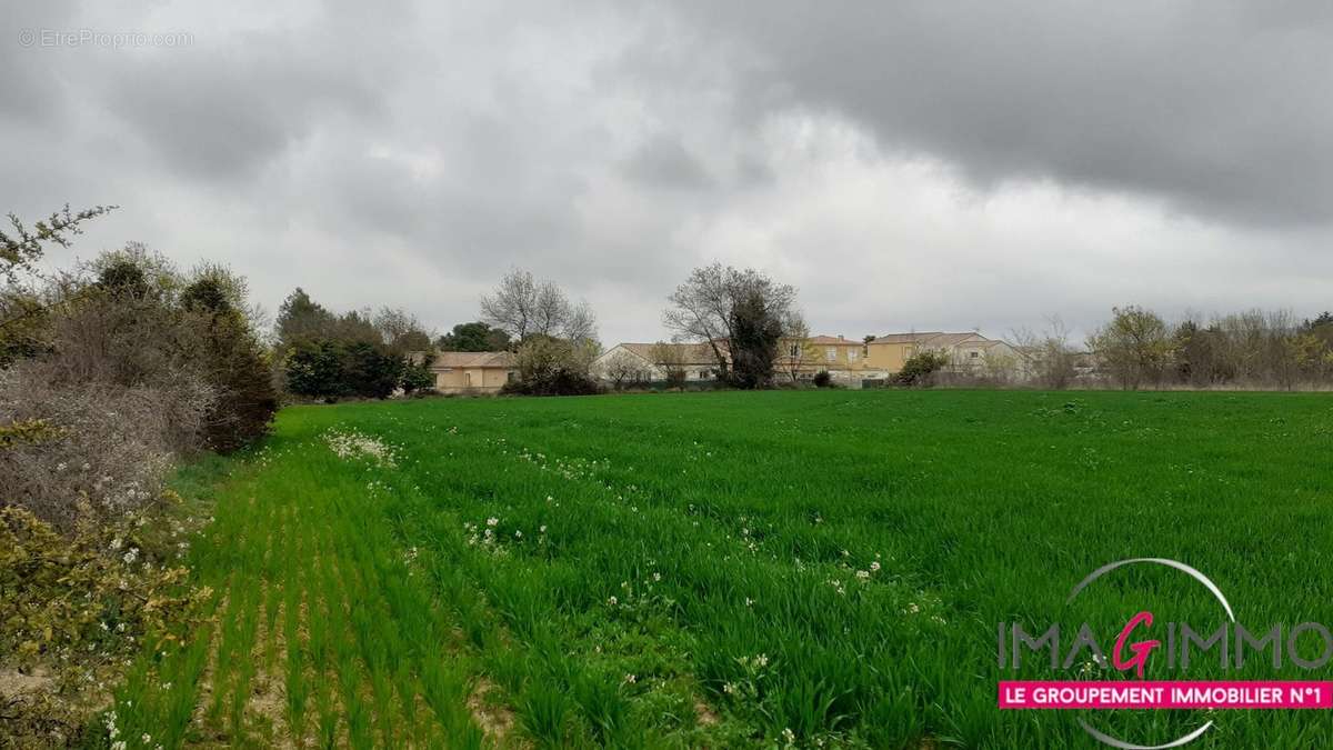 Terrain à FABREGUES