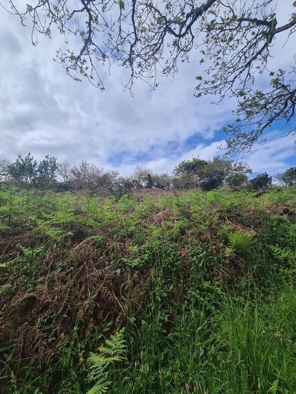 Terrain à CROZON