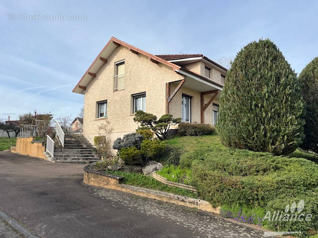 Maison à MONTBELIARD