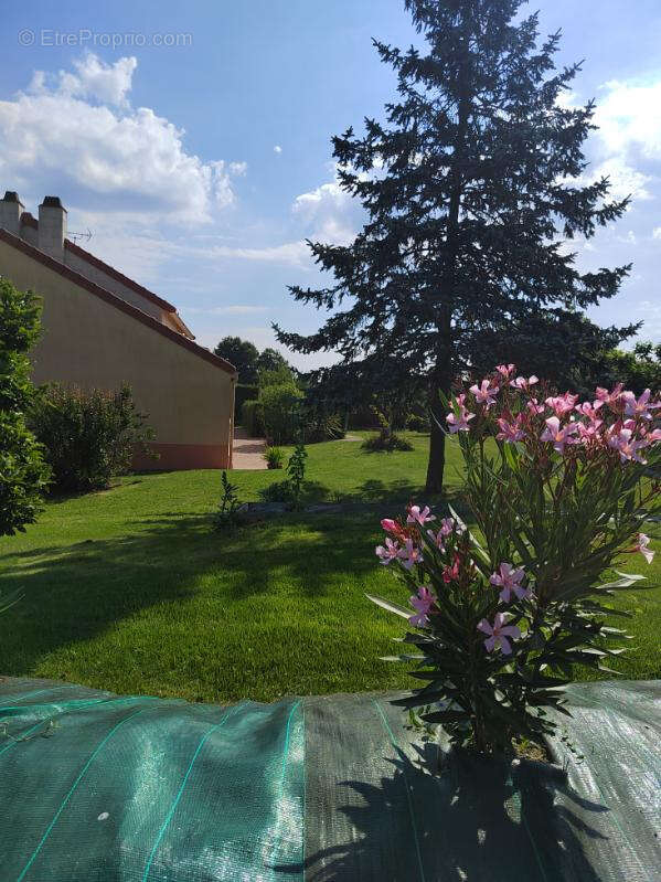 Maison à LES HERBIERS