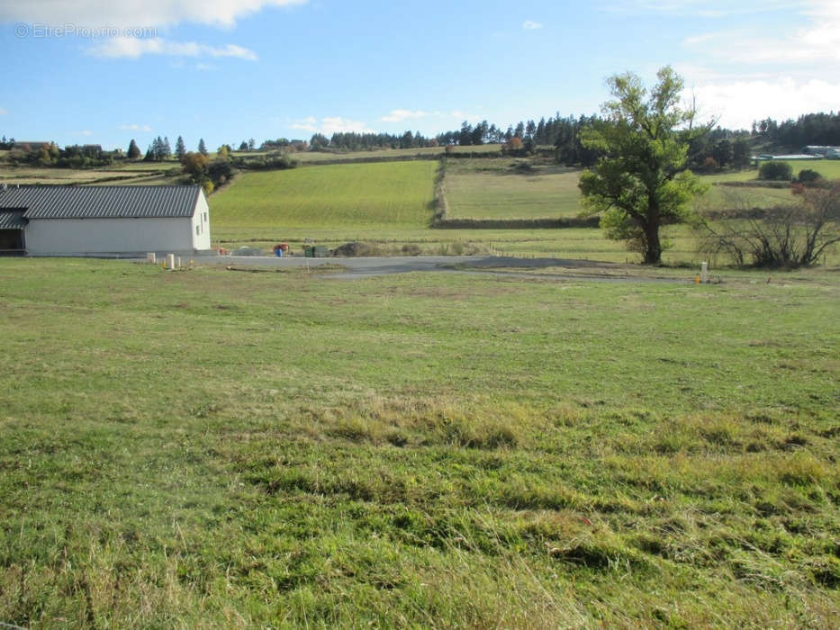 Terrain à GRANDRIEU