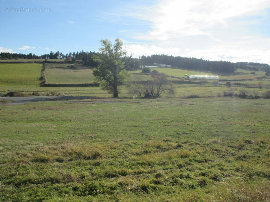 Terrain à GRANDRIEU