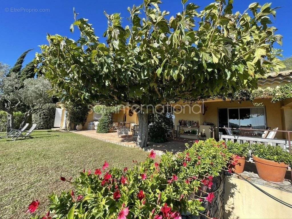 Maison à RAMATUELLE