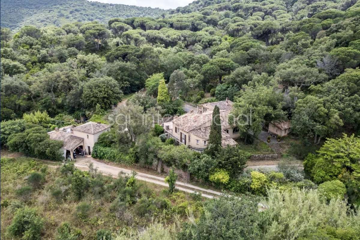 Maison à RAMATUELLE