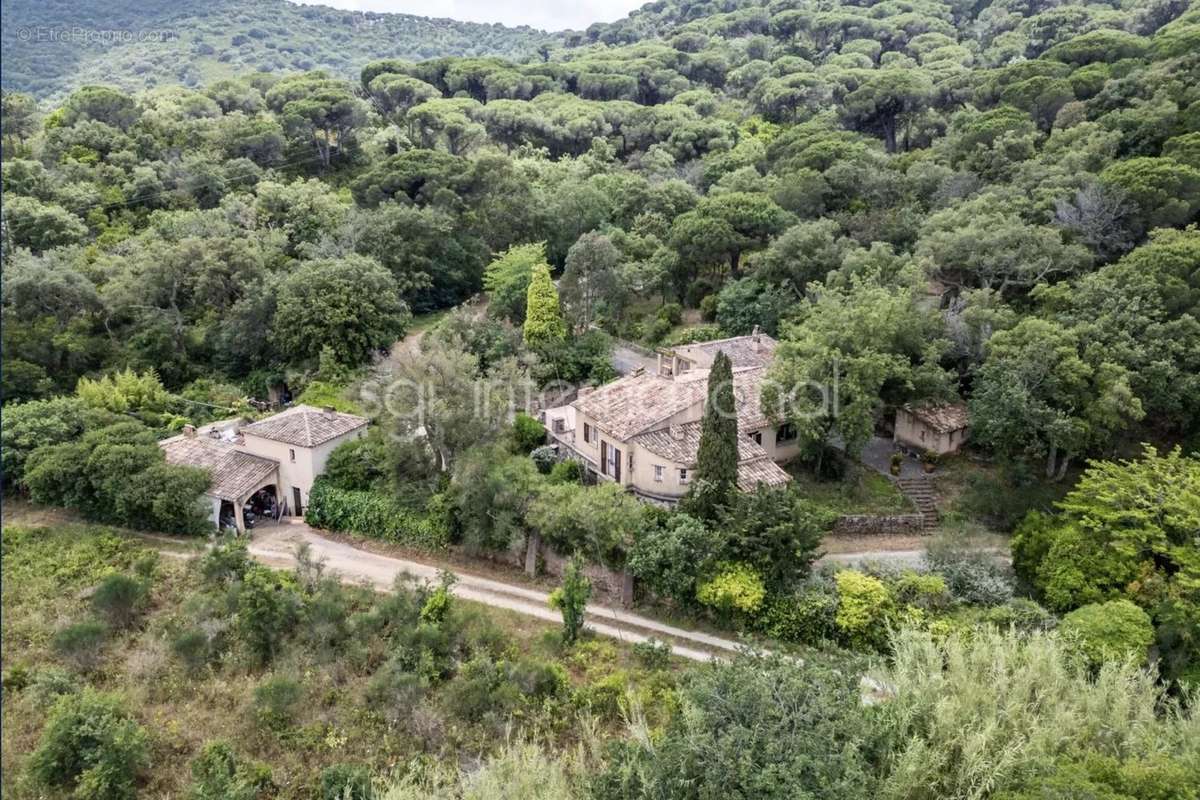 Maison à RAMATUELLE