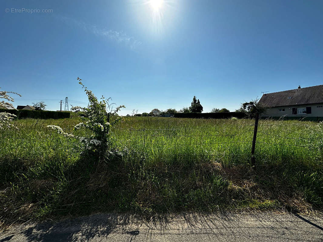 Terrain à BRETTEVILLE-SUR-LAIZE