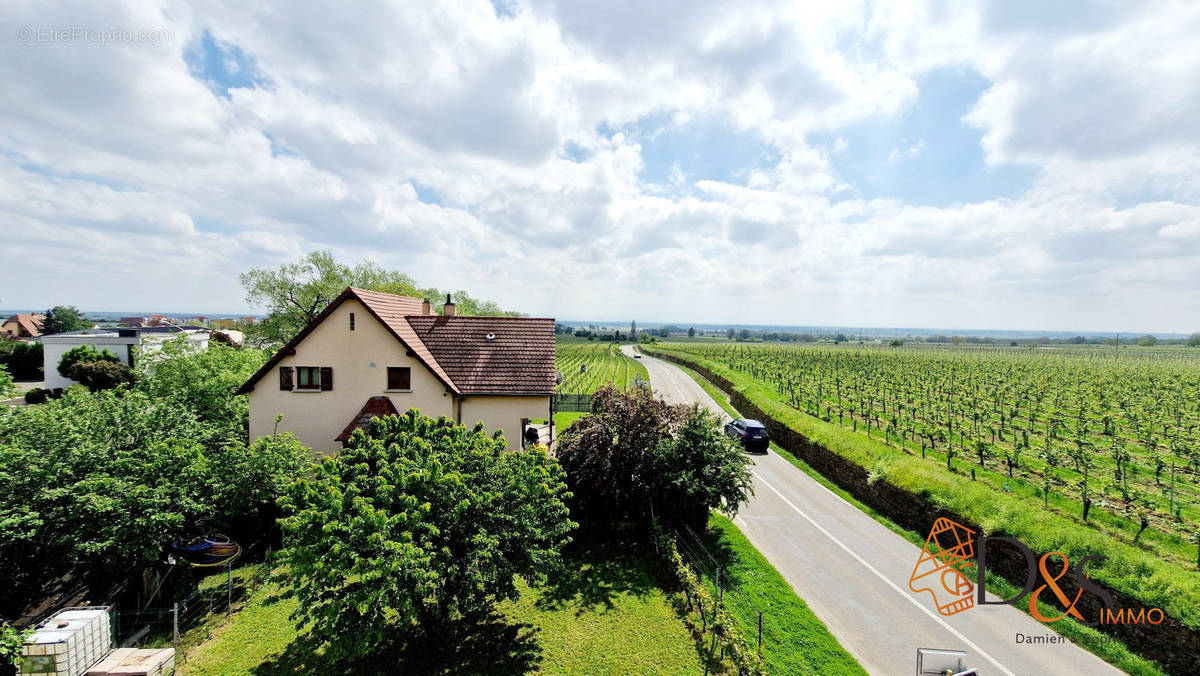 Appartement à RIBEAUVILLE