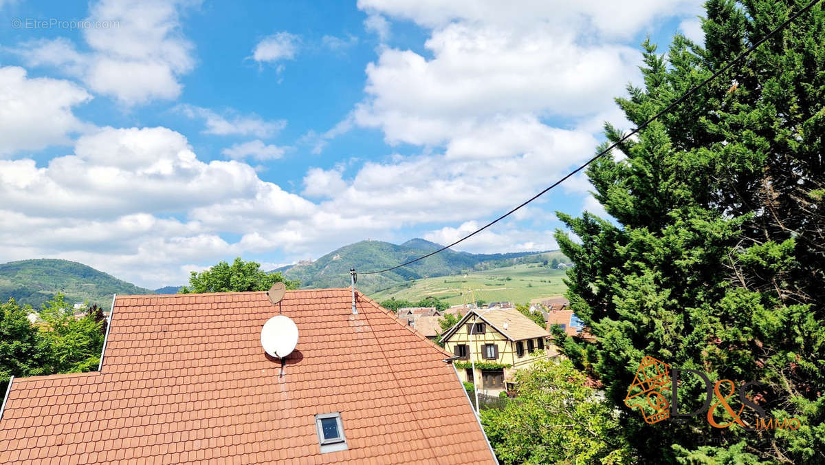 Appartement à RIBEAUVILLE