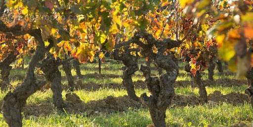 Terrain à BAIXAS