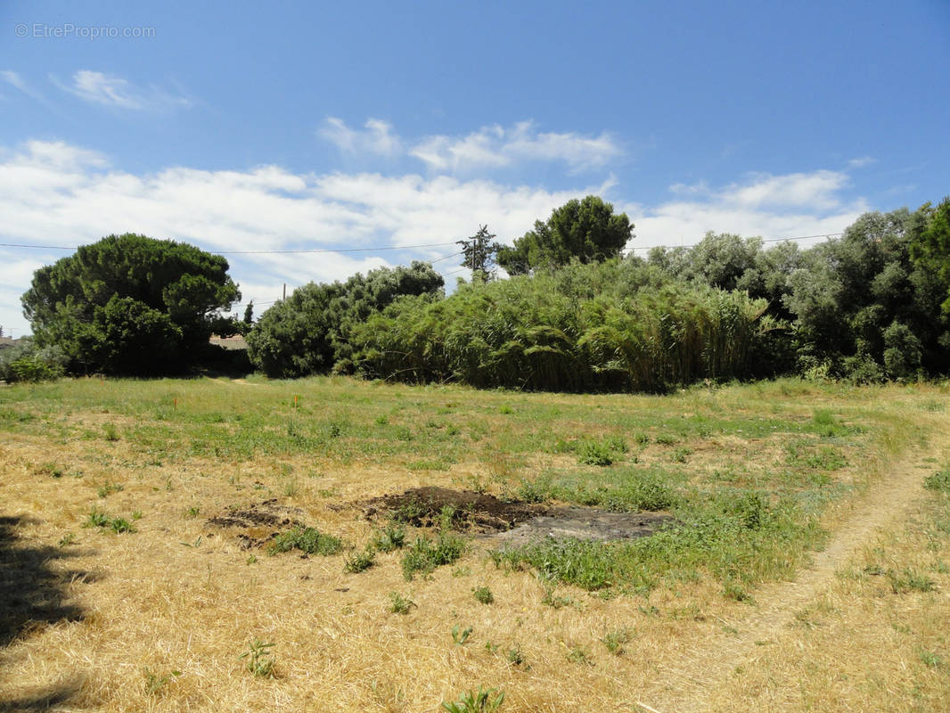 Terrain à SAINT-GILLES