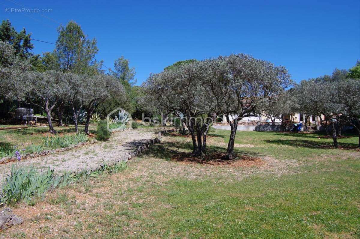 Maison à TRANS-EN-PROVENCE