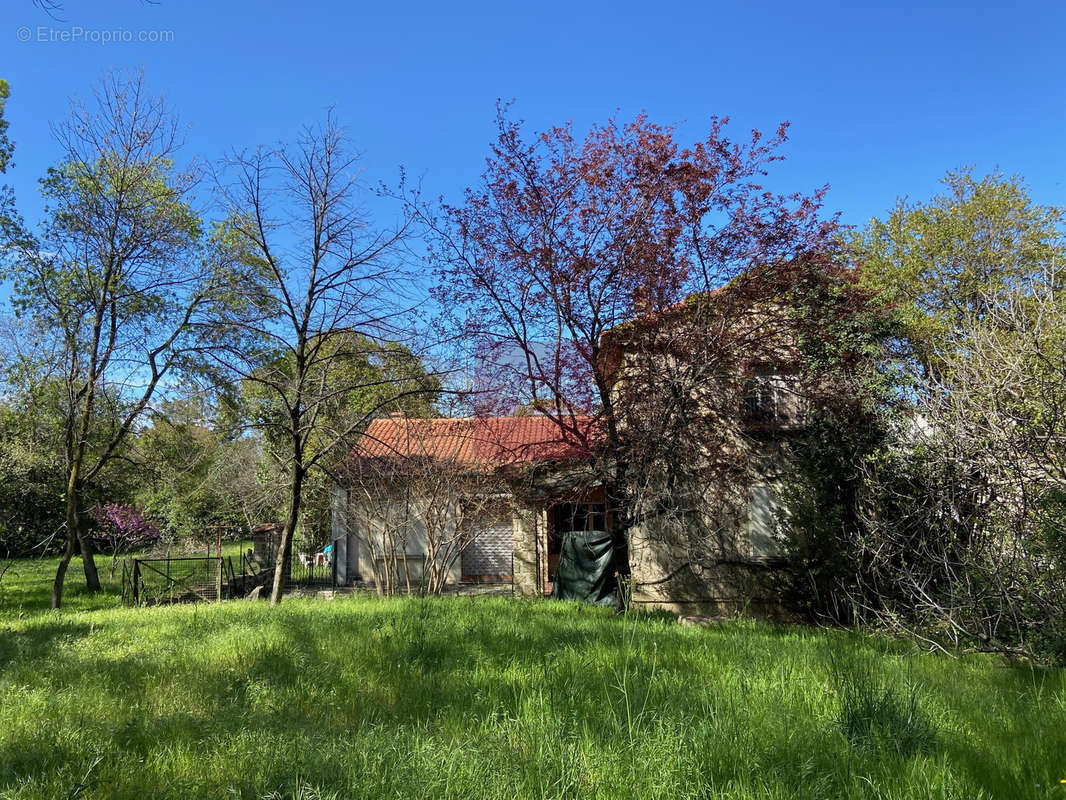 Maison à MONTPELLIER