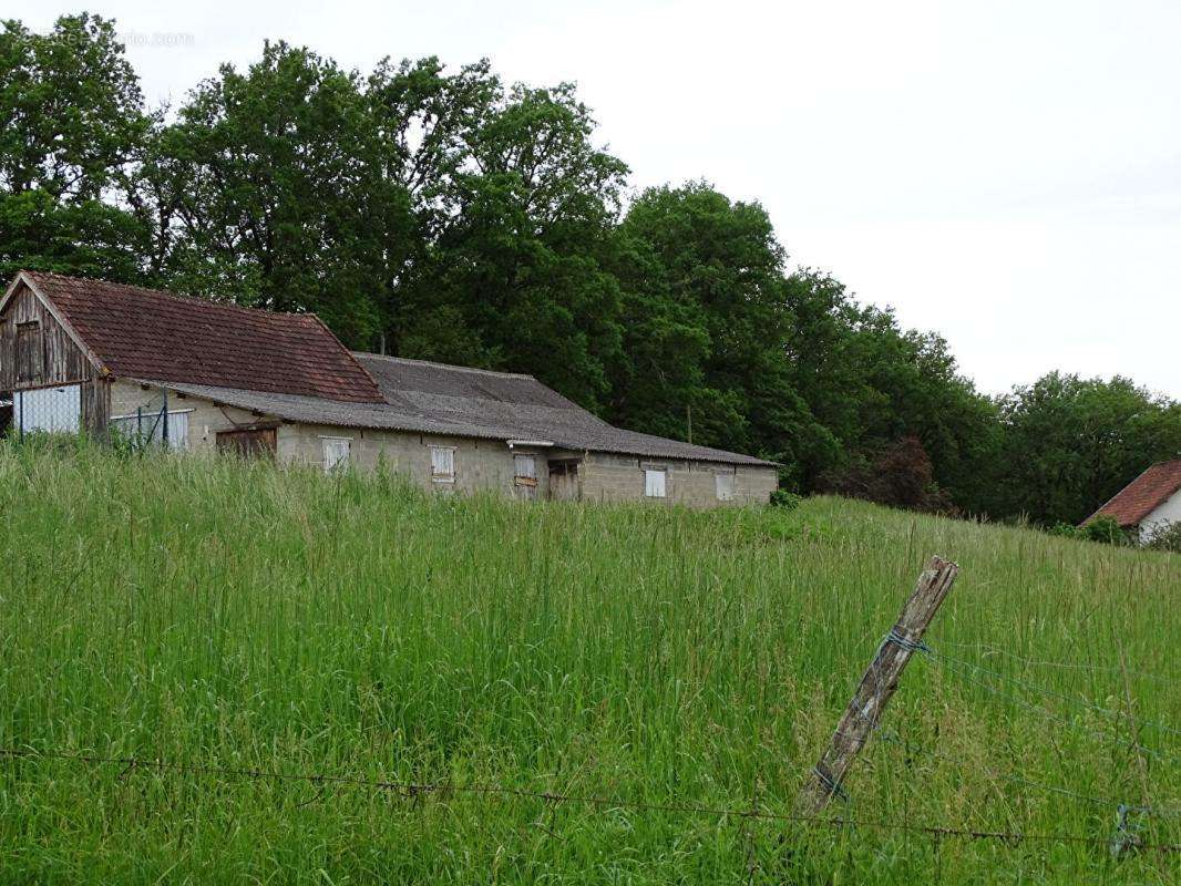 Terrain à AUBAS