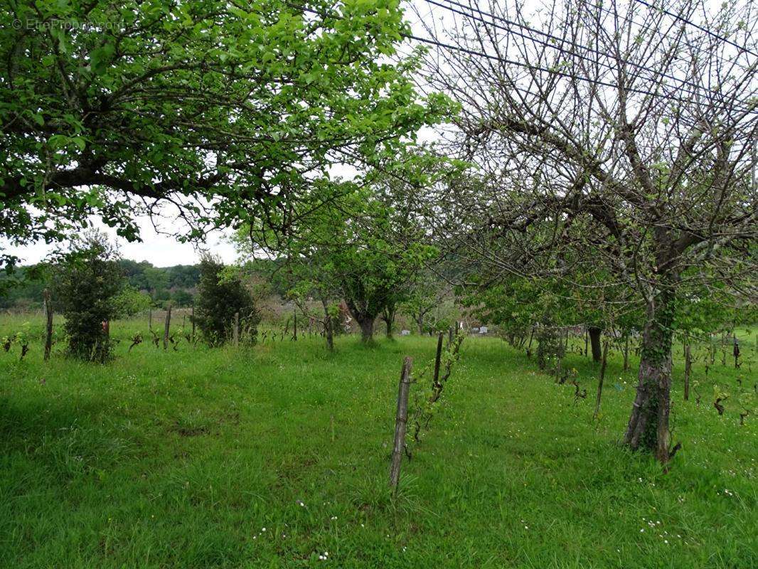 Terrain à AUBAS