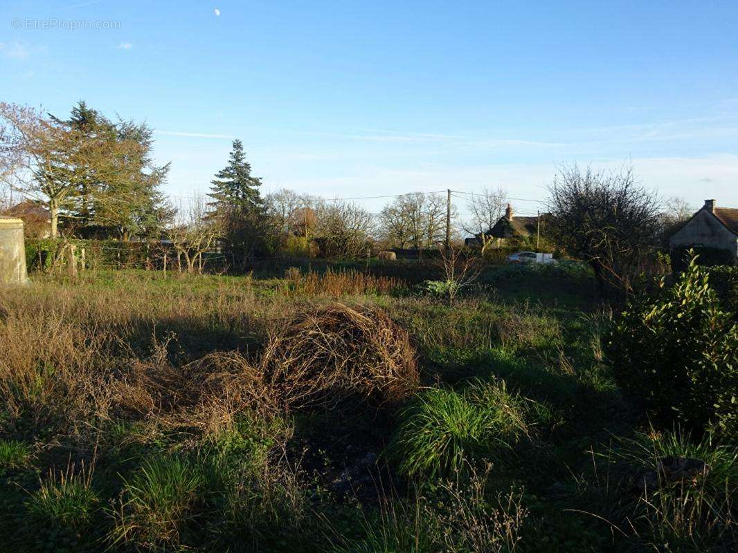 Terrain à AZAY-LE-FERRON