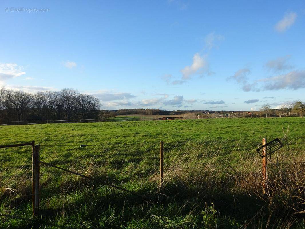 Terrain à AZAY-LE-FERRON