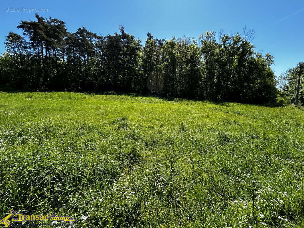 Terrain à PASLIERES