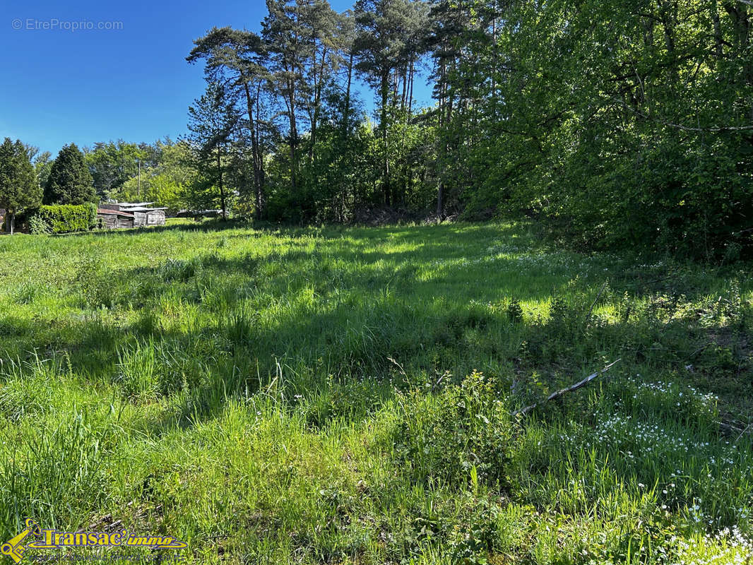 Terrain à PASLIERES