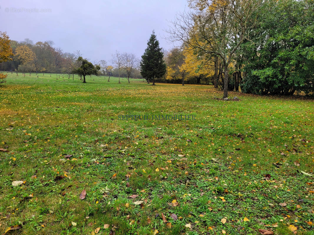 Terrain à SEPTEUIL