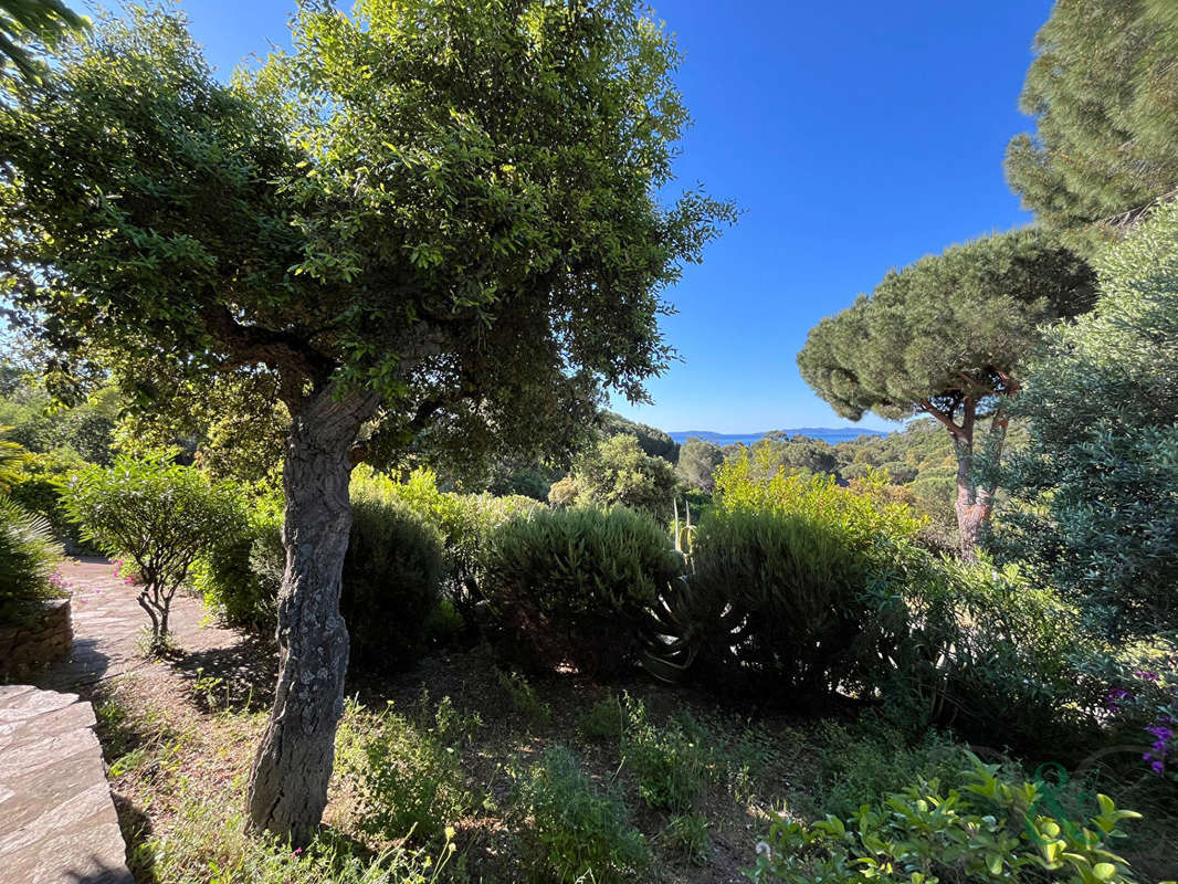 Maison à LE LAVANDOU