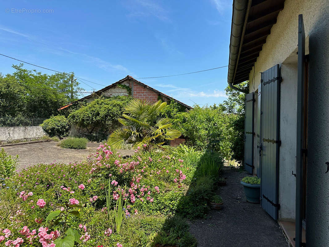 Maison à CASTELCULIER