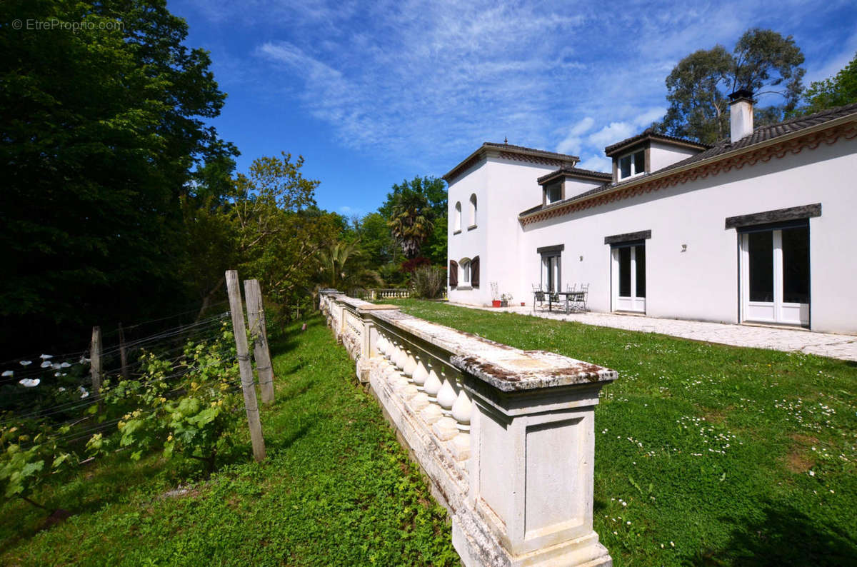 Devant maison - House front 1 - Maison à EAUZE