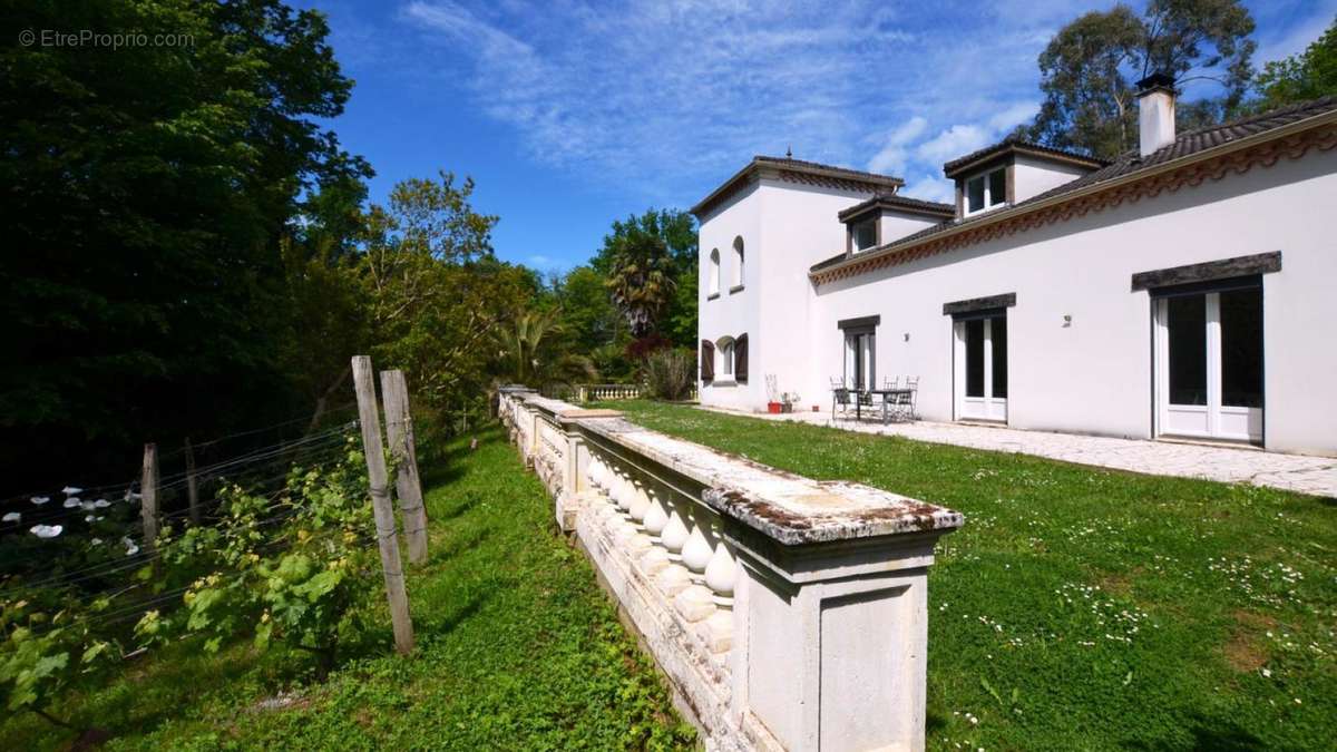 Devant maison - House front 1 - Maison à EAUZE