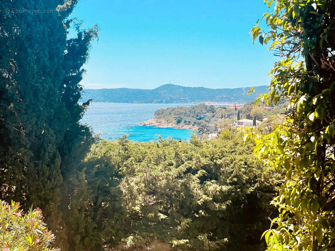 Maison à LE LAVANDOU