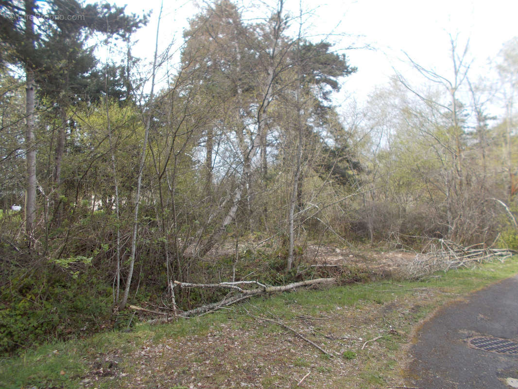 Terrain à SAINT-JEURES