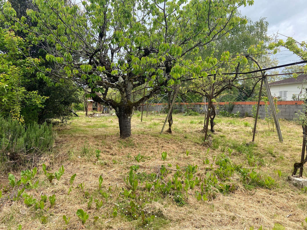 Terrain à LAVARDAC