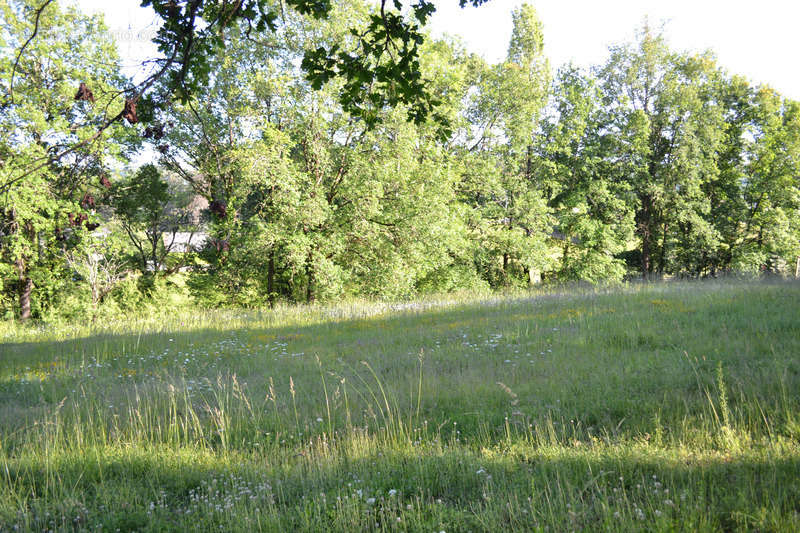 Terrain à LARCHE