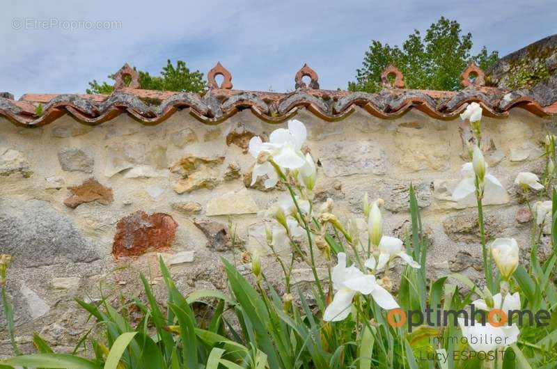 Maison à ROUMAZIERES-LOUBERT