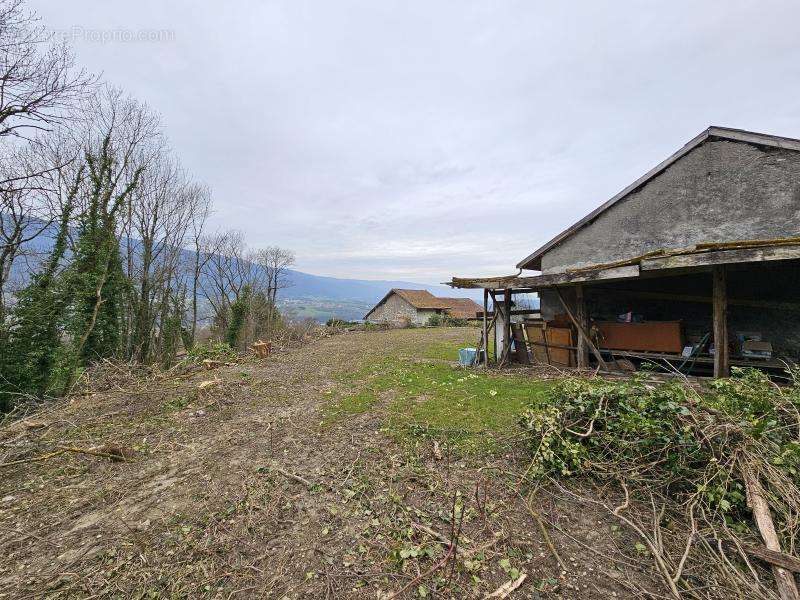 Maison à SEYSSEL