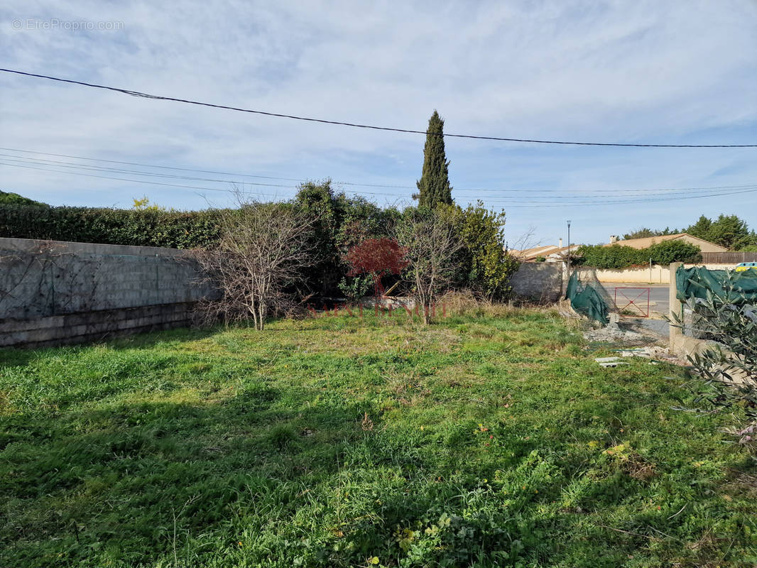 Terrain à SAINT-ANDRE-DE-SANGONIS