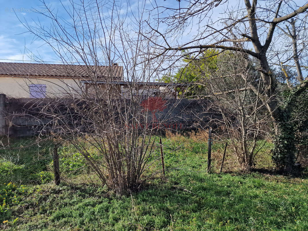 Terrain à SAINT-ANDRE-DE-SANGONIS