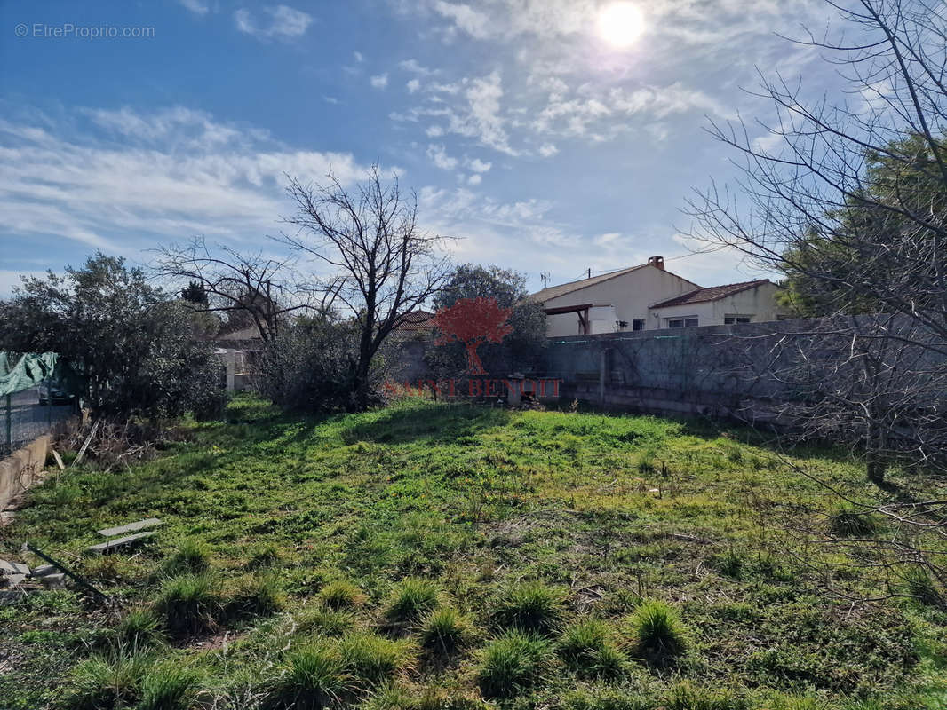 Terrain à SAINT-ANDRE-DE-SANGONIS