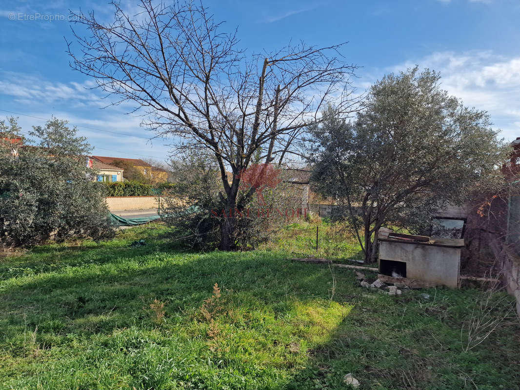 Terrain à SAINT-ANDRE-DE-SANGONIS