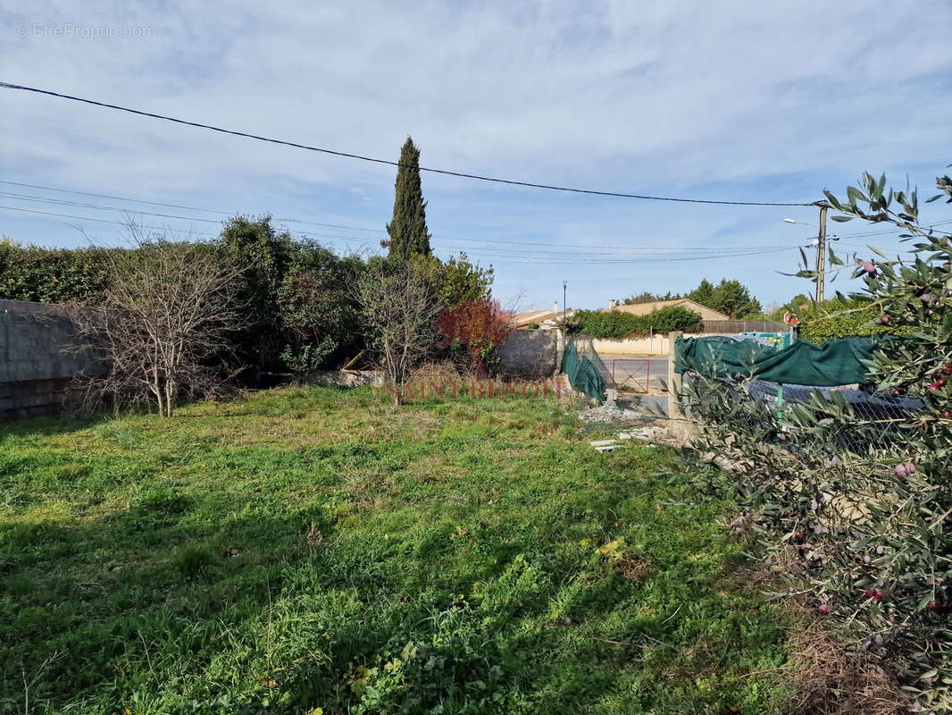 Terrain à SAINT-ANDRE-DE-SANGONIS