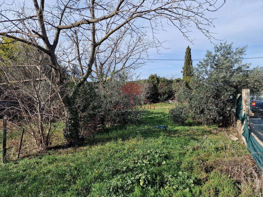 Terrain à SAINT-ANDRE-DE-SANGONIS