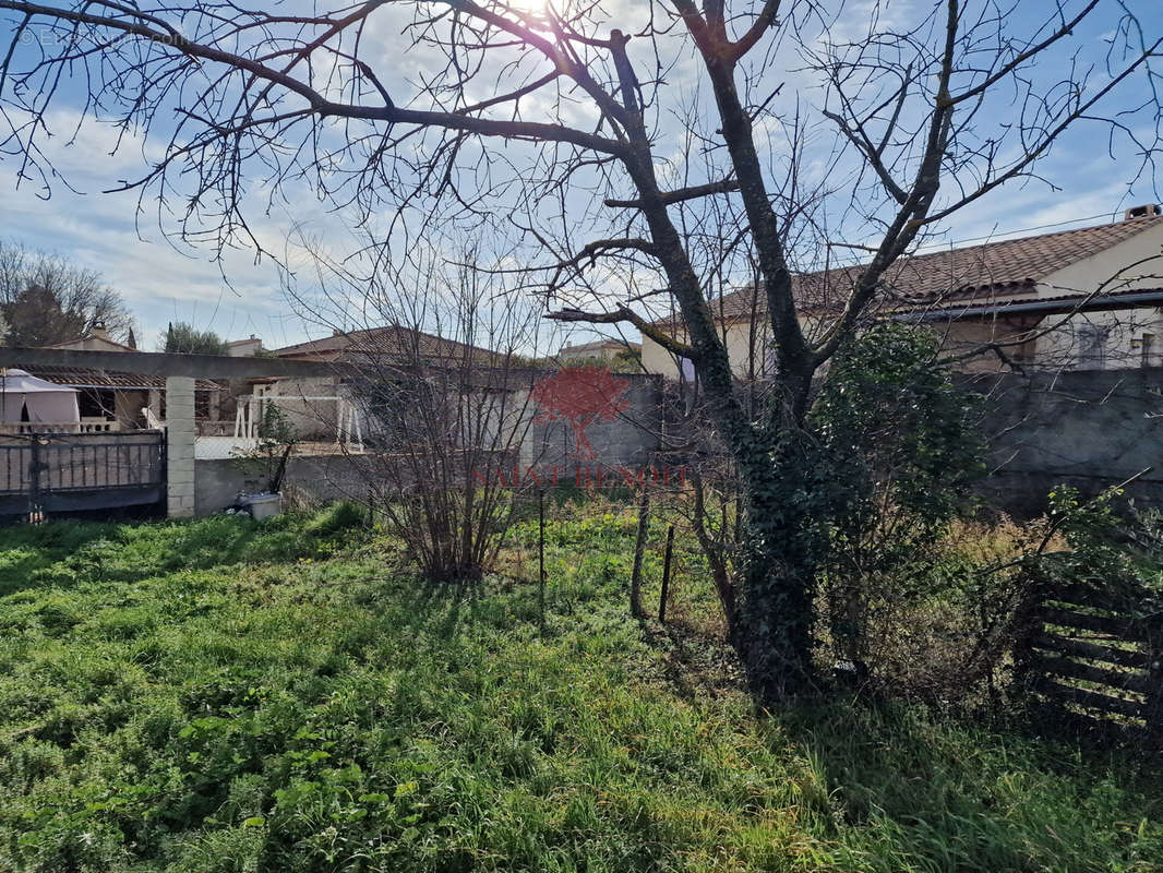 Terrain à SAINT-ANDRE-DE-SANGONIS