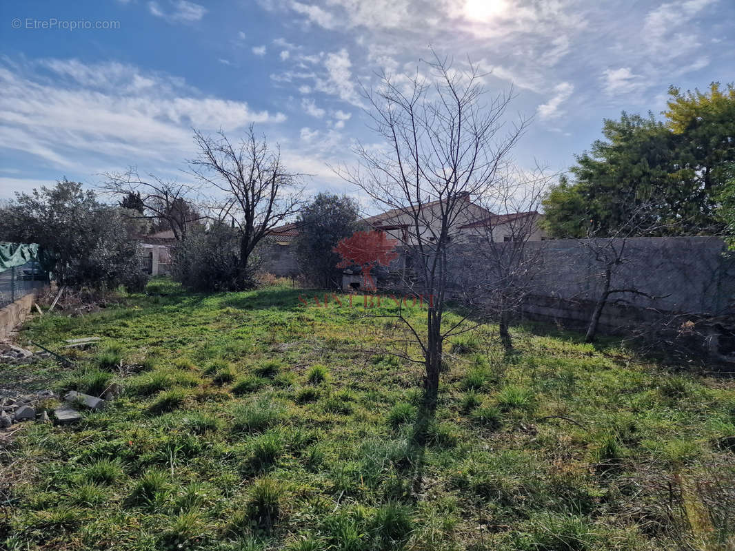 Terrain à SAINT-ANDRE-DE-SANGONIS