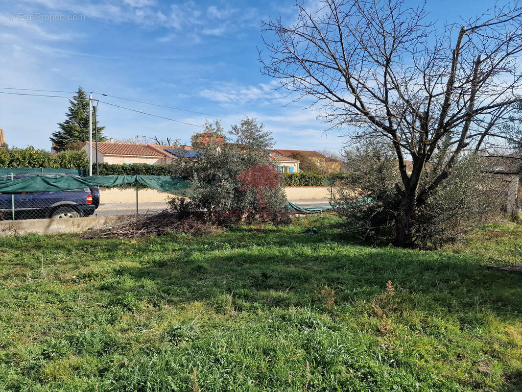 Terrain à SAINT-ANDRE-DE-SANGONIS