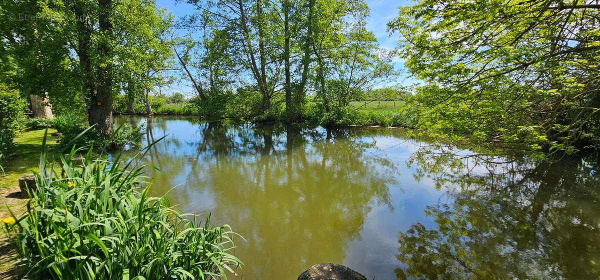 Terrain à BONNEVAL