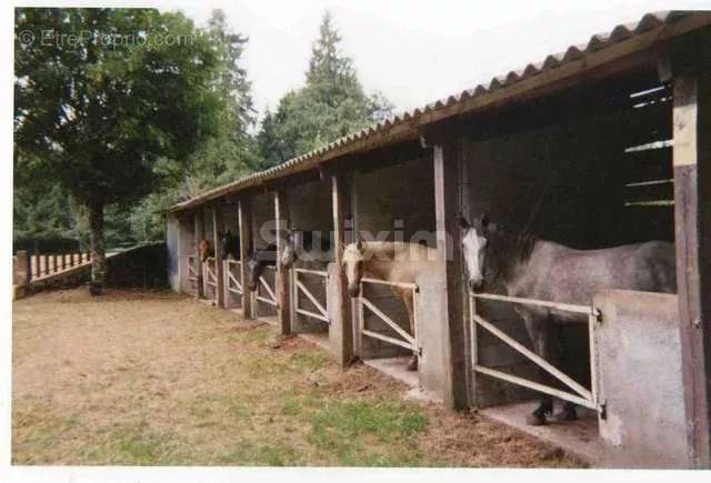 Maison à LA SALVETAT-SUR-AGOUT