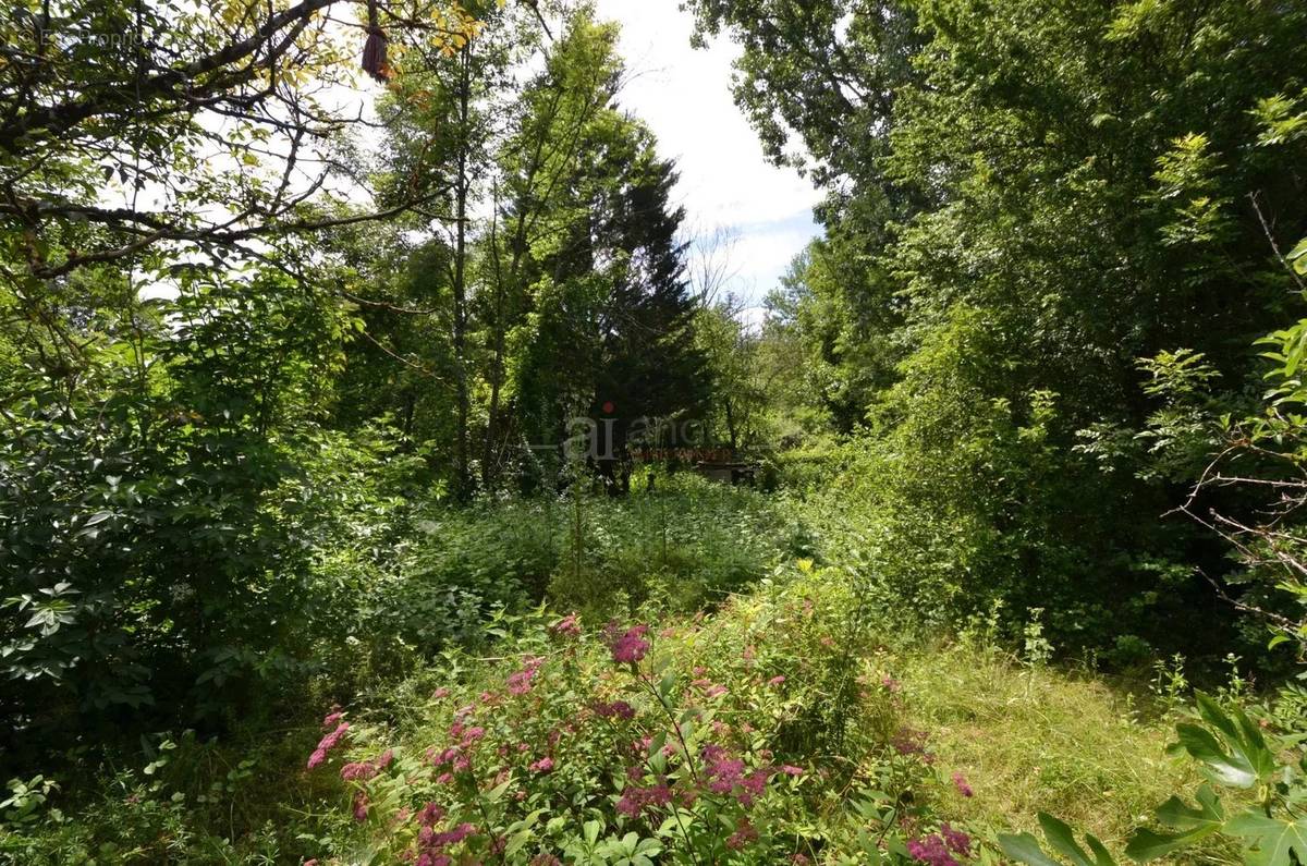 Terrain à COURTENAY