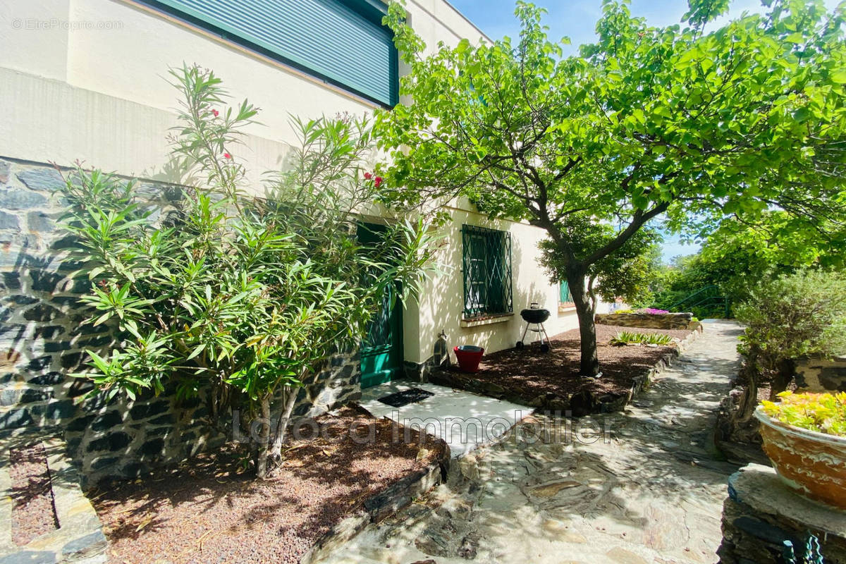 Appartement à BANYULS-SUR-MER