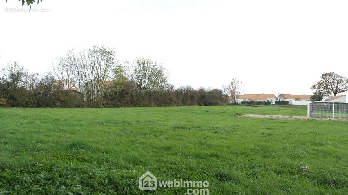 Terrain de 3634m², constructible sur 3000m², non viabilisé - Terrain à LA JONCHERE