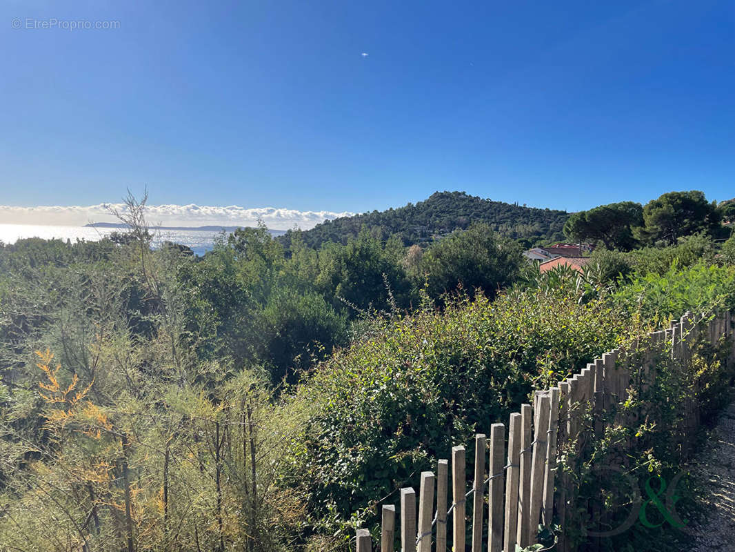 Maison à LE LAVANDOU