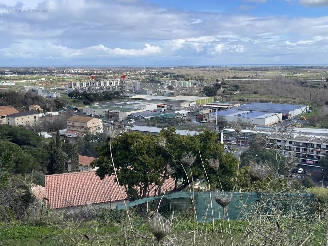 Terrain à LUCCIANA