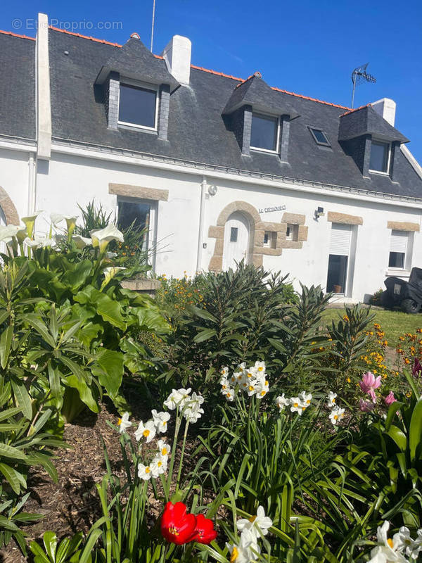 Maison à QUIBERON